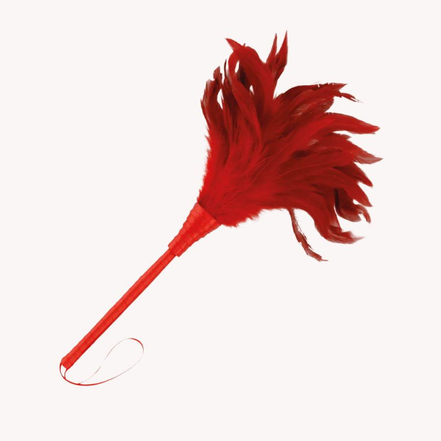 Plumes & Plumeaux