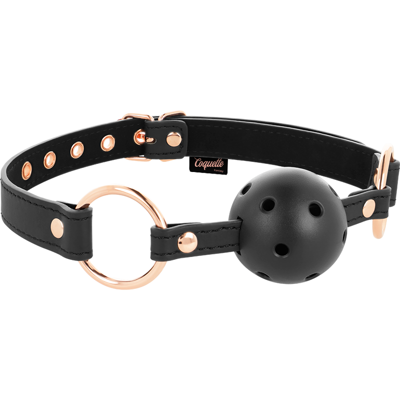 Fancy breathable ball gag