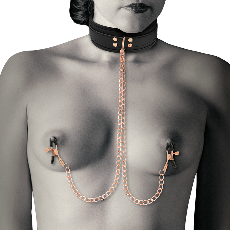 Fancy tip clip collar with neoprene lining