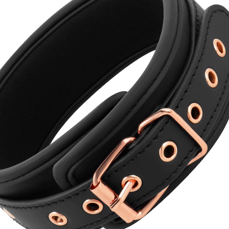 Fancy tip clip collar with neoprene lining