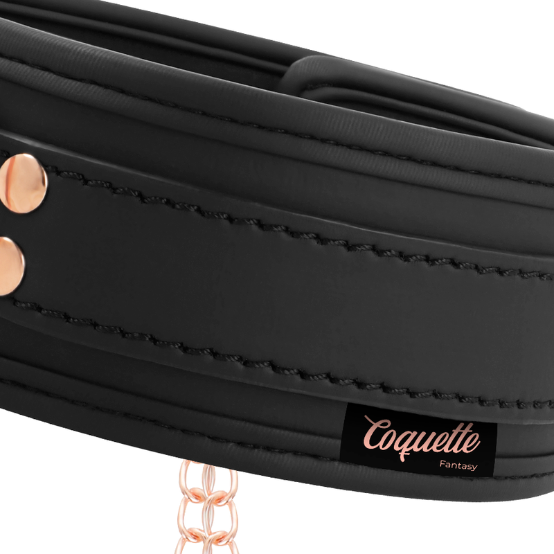 Fancy tip clip collar with neoprene lining
