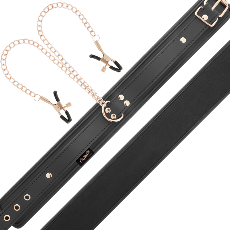 Fancy tip clip collar with neoprene lining