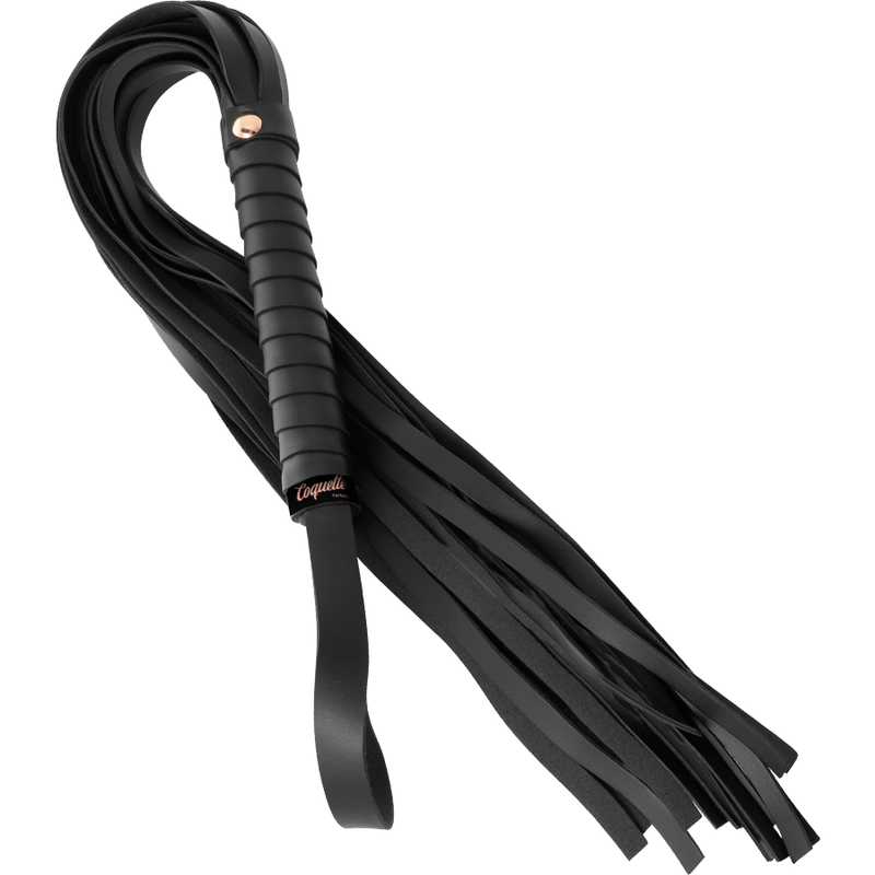 Fancy vegan leather whip