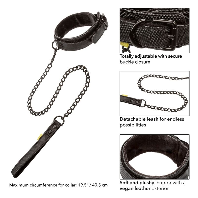 Collar and leash without limits