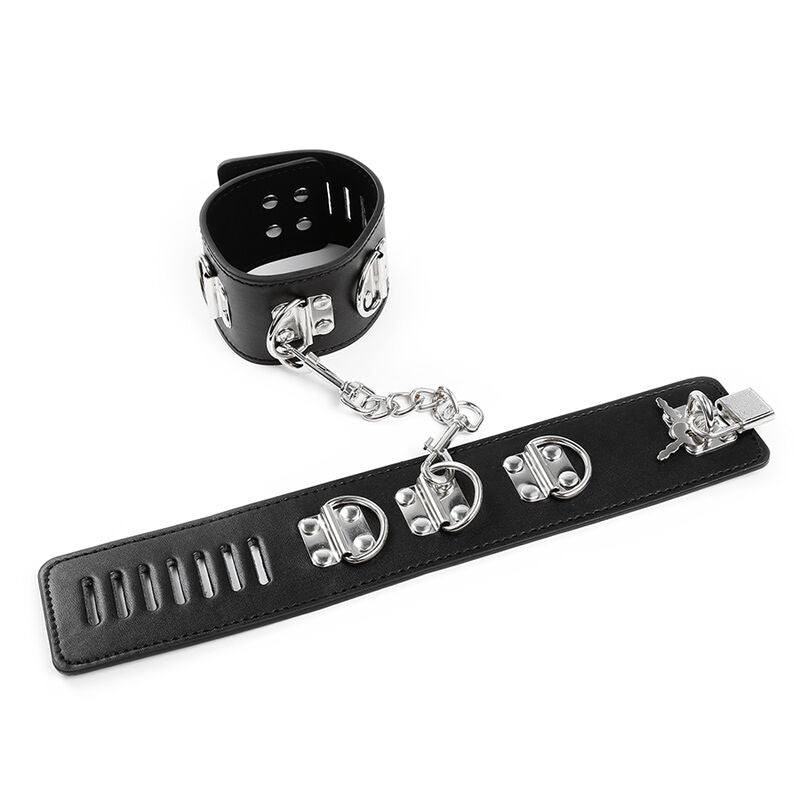 Hasp style ankle restraints