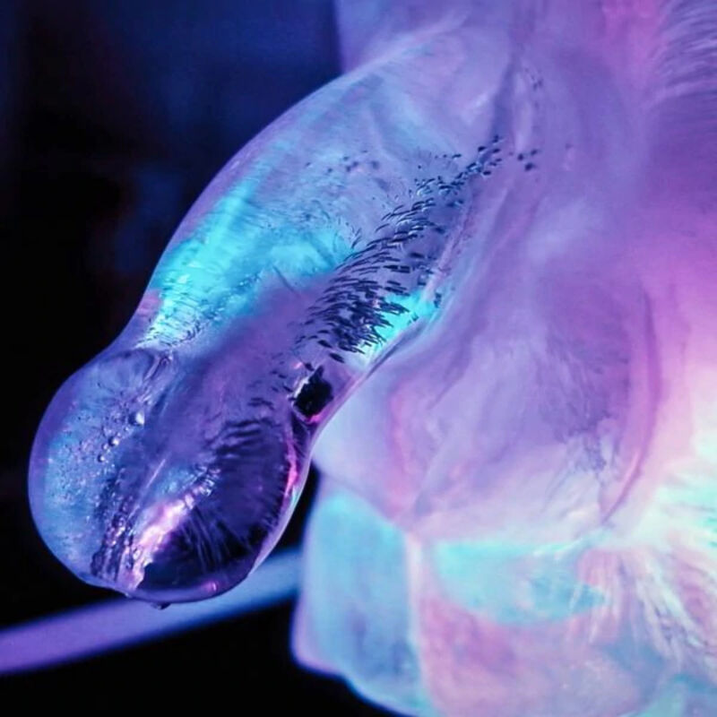 Huge penis ice luge moule