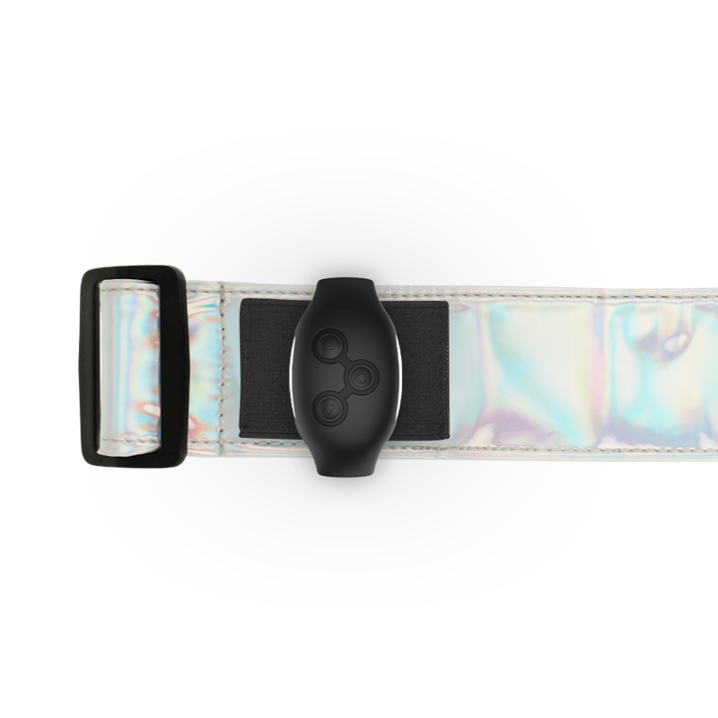Fancy harness iridescent harness s/m