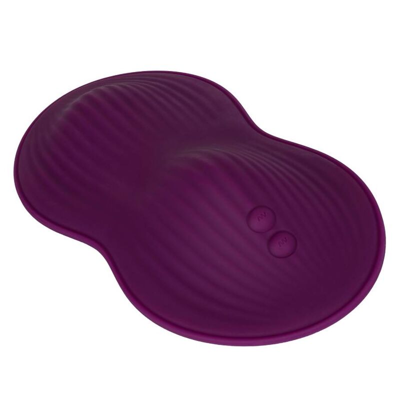 Dual rider remote control