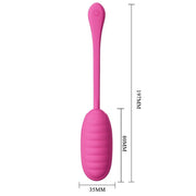 Oeuf vibrant rechargeable catalina rose