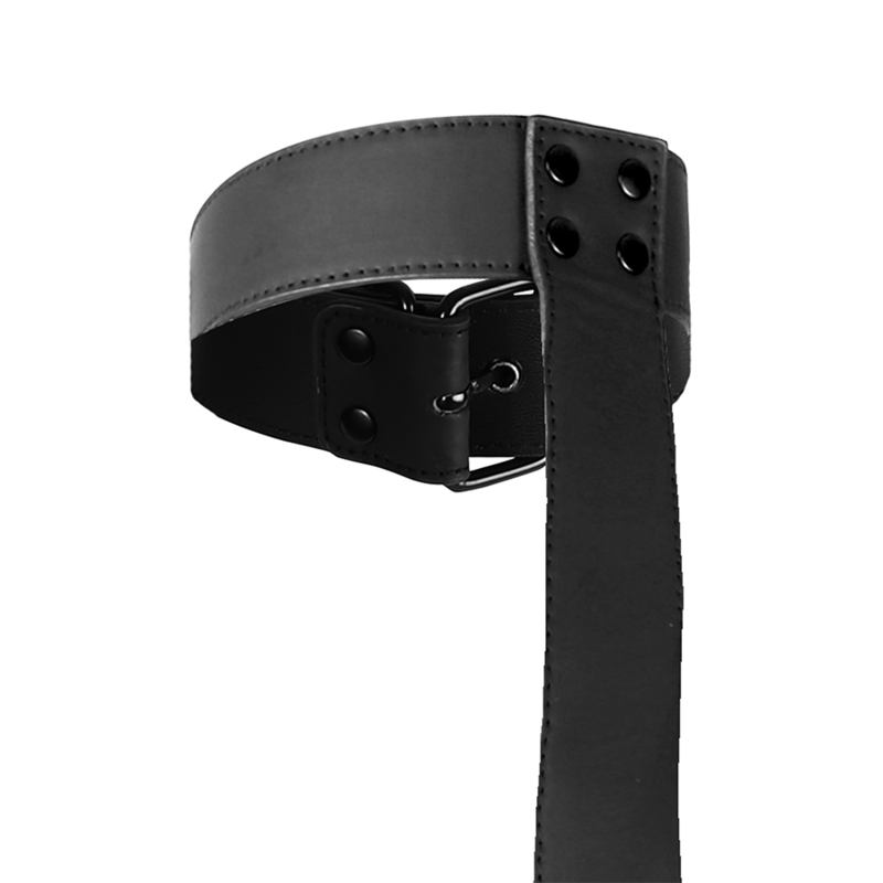 Body restraint set with collar and wrists