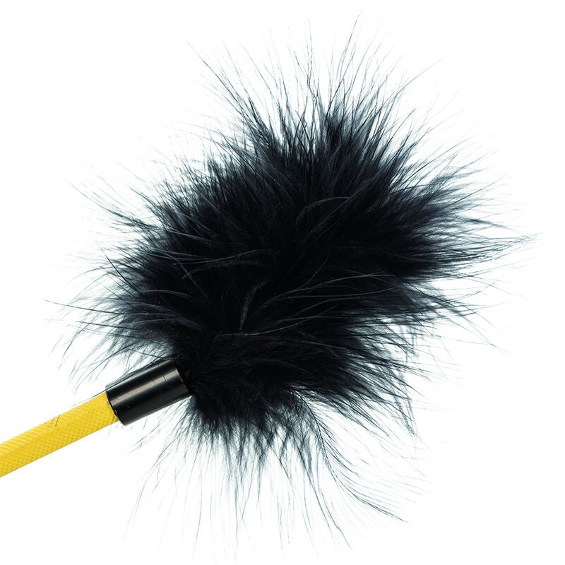 Boundless Feather Harvest
