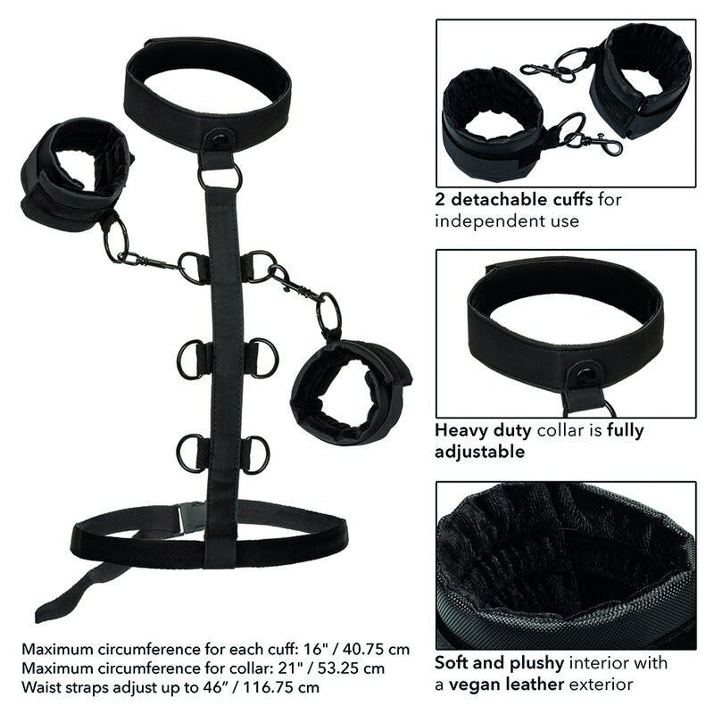 Boundless restraint collar