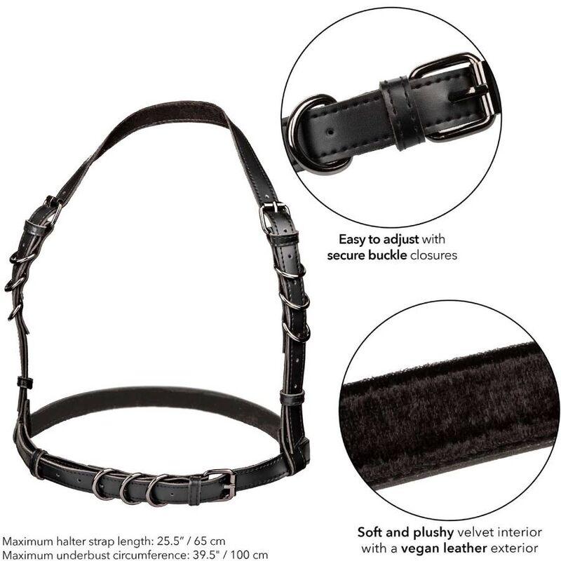 Euphoria black halter buckle harness