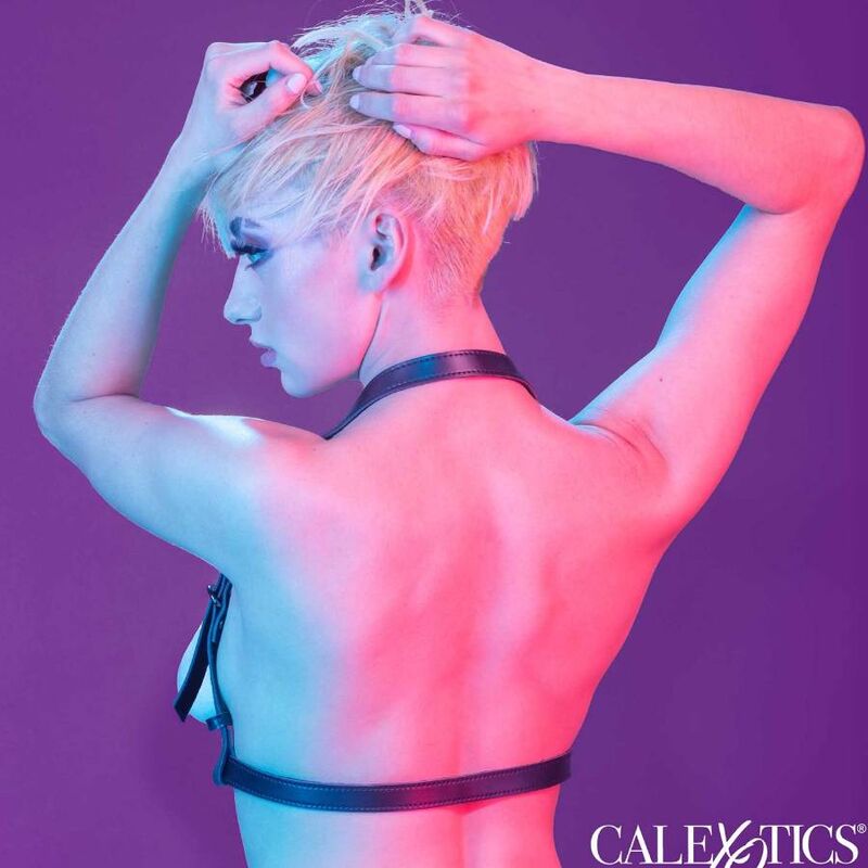 Euphoria black halter buckle harness