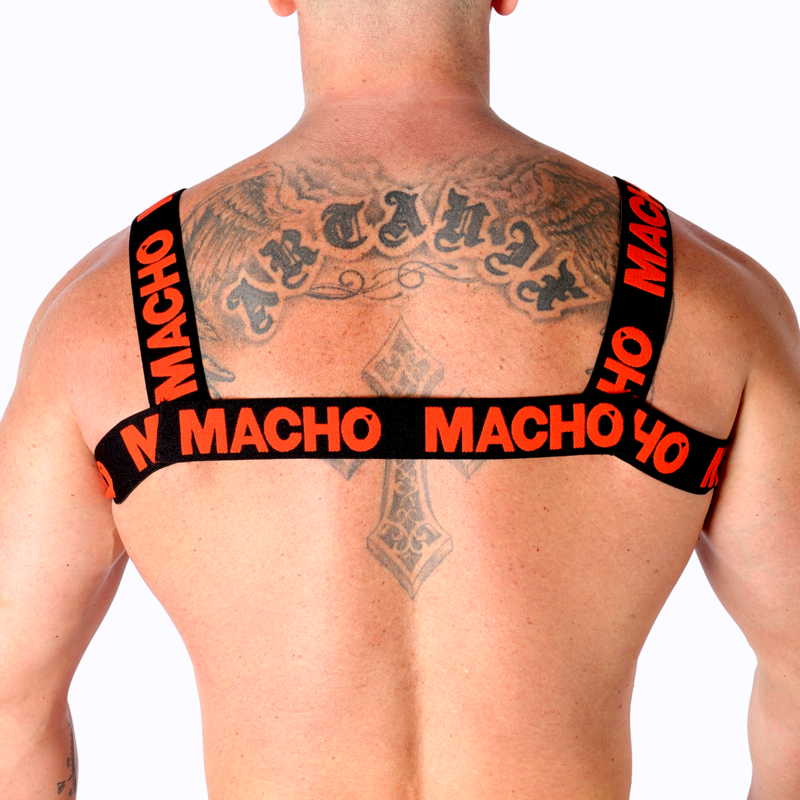 Red double harness