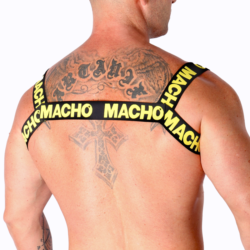 Yellow double harness