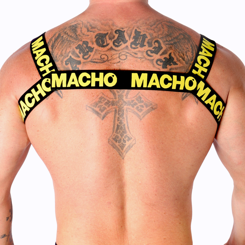 Yellow double harness