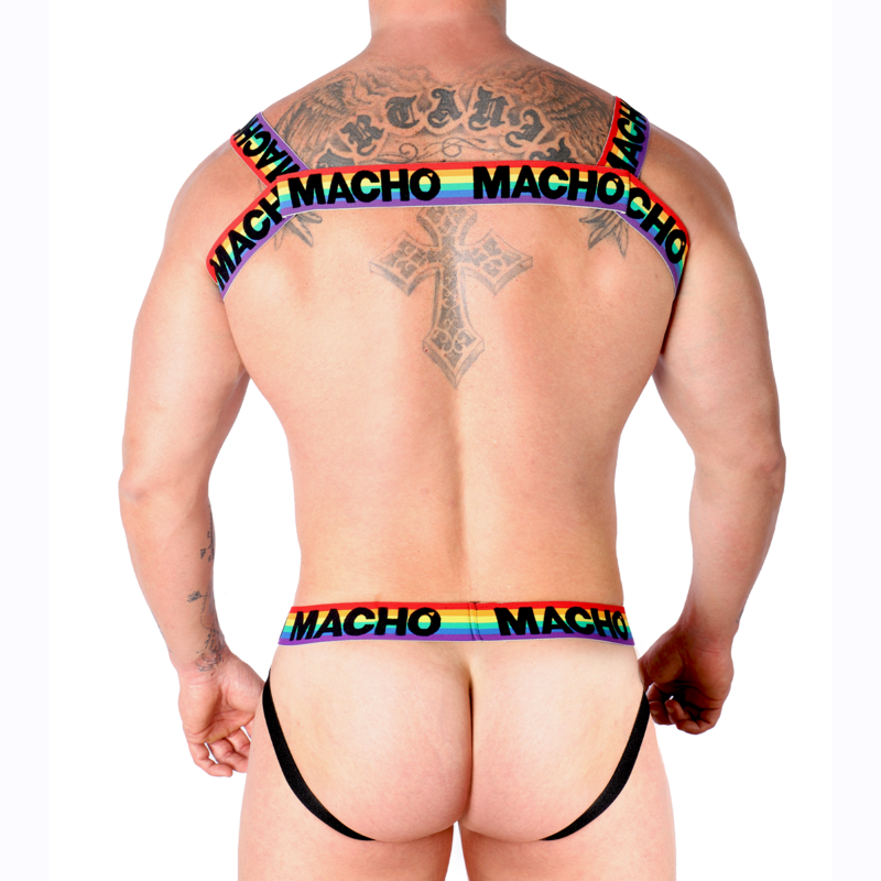 Double Pride Limited Harness