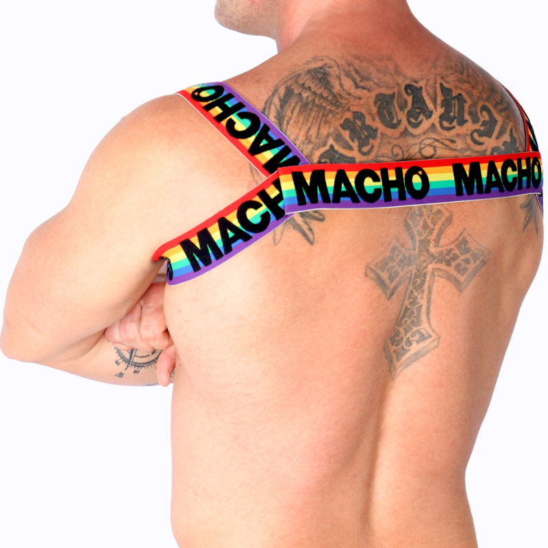 Double Pride Limited Harness