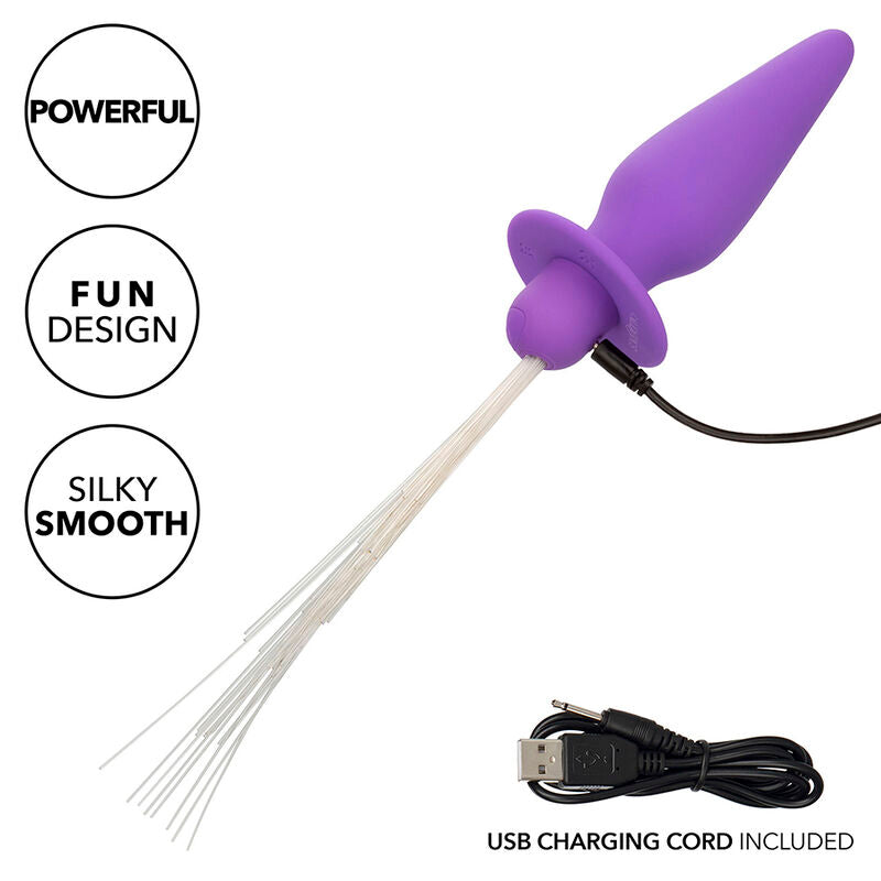 Southern lights light up anal plug10 vibrations silicone purple