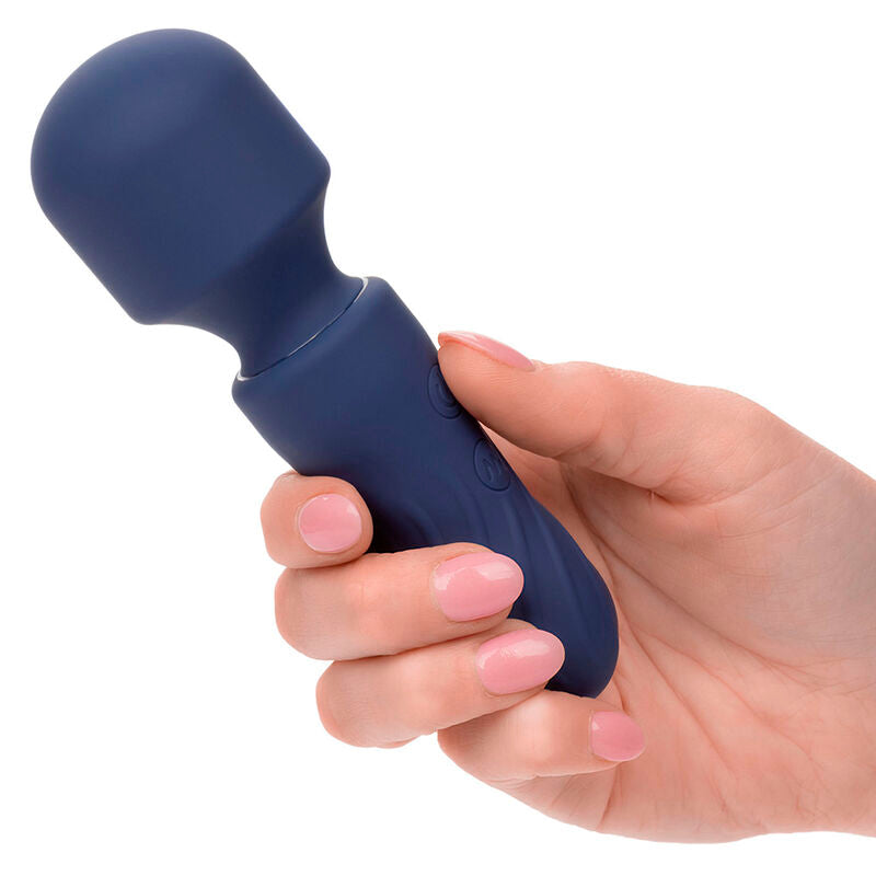 Charisma charm masseur 12 fonctions violet