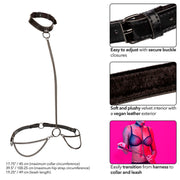 Euphoria collar and chain leash