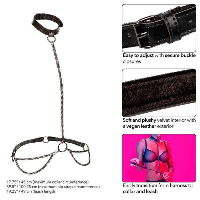 Euphoria collar and chain leash
