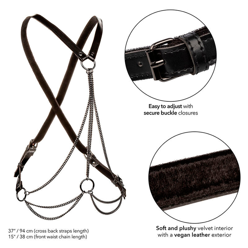 Euphoria premium multi-chain harness