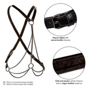 Euphoria Premium Multi-Chain Harness Plus Size