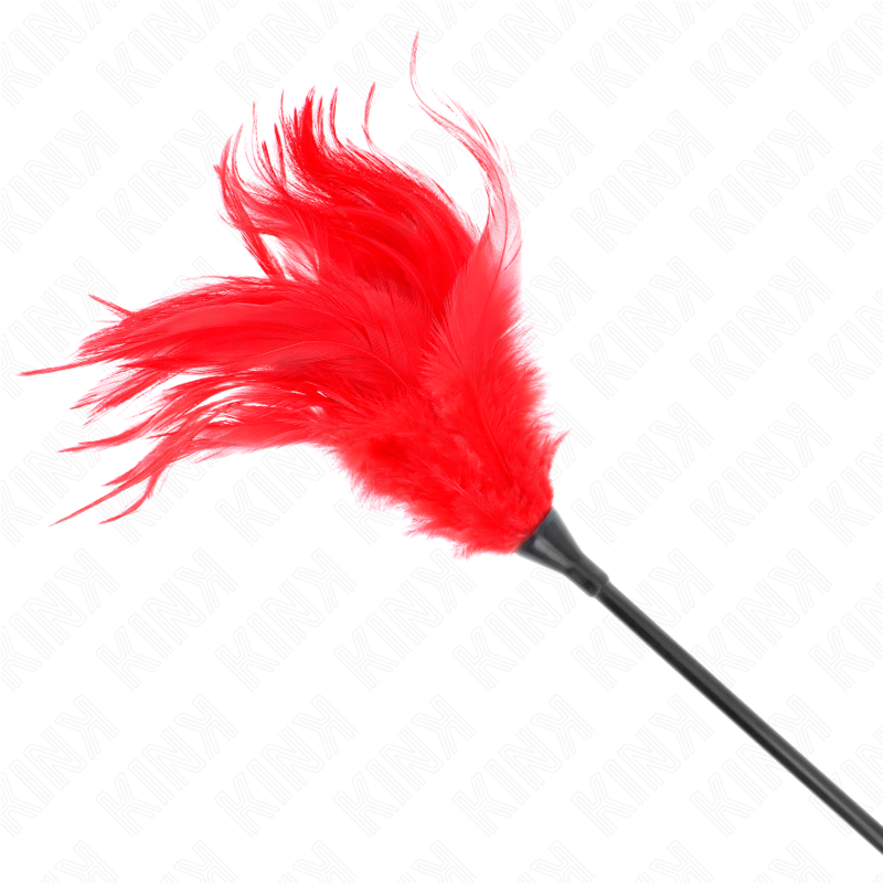 Several red tickling feathers 45 cm