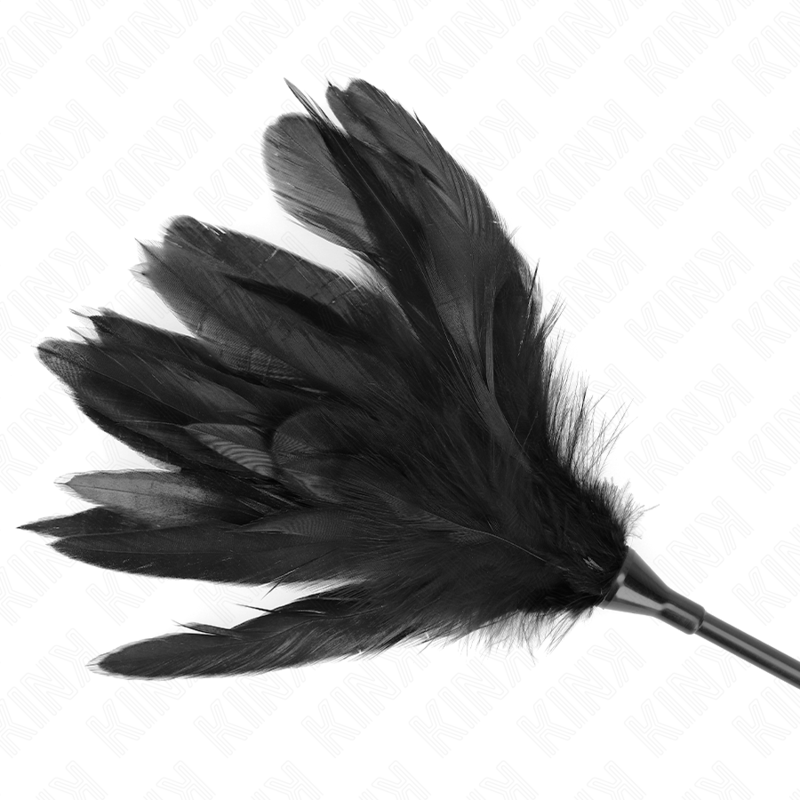 48 cm Ruffled Feathers