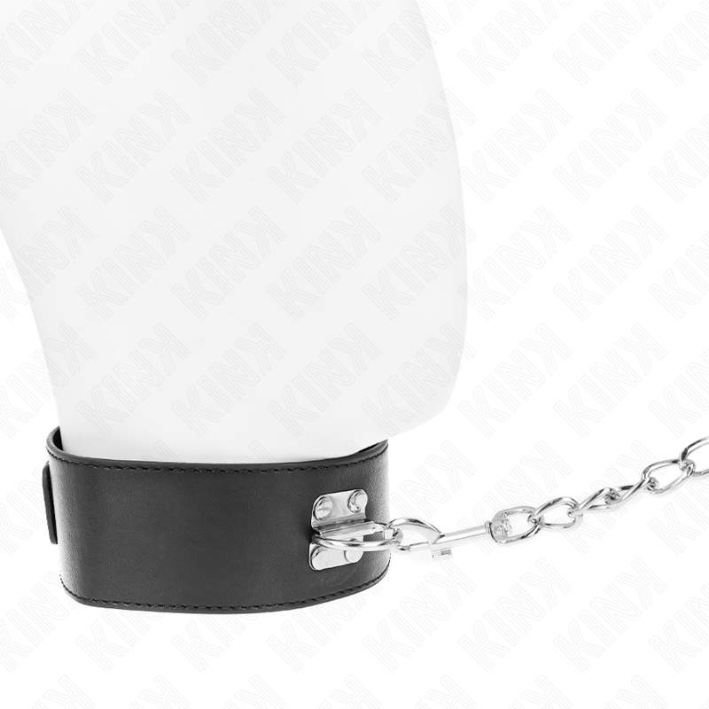 Basic model collar with 65 cm leash model 0