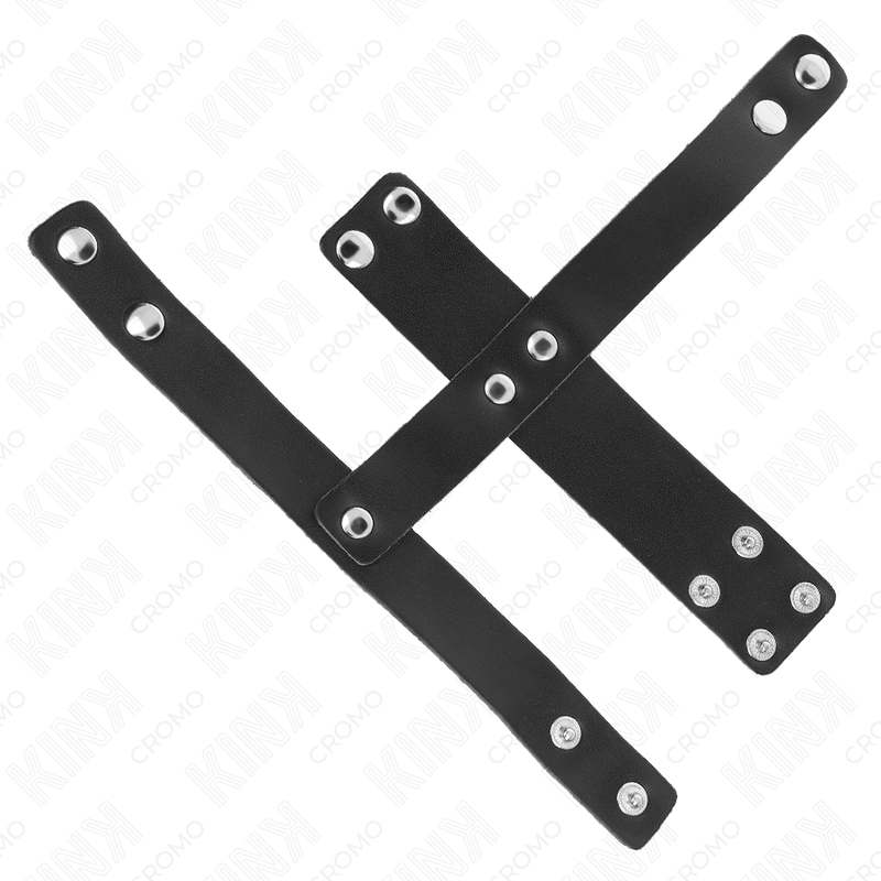 Leather Penis Cage Ring with Adjustable Ball Divider