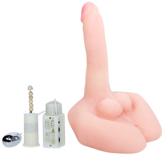 Mr Big Realistic Penis and Anus Masturbator