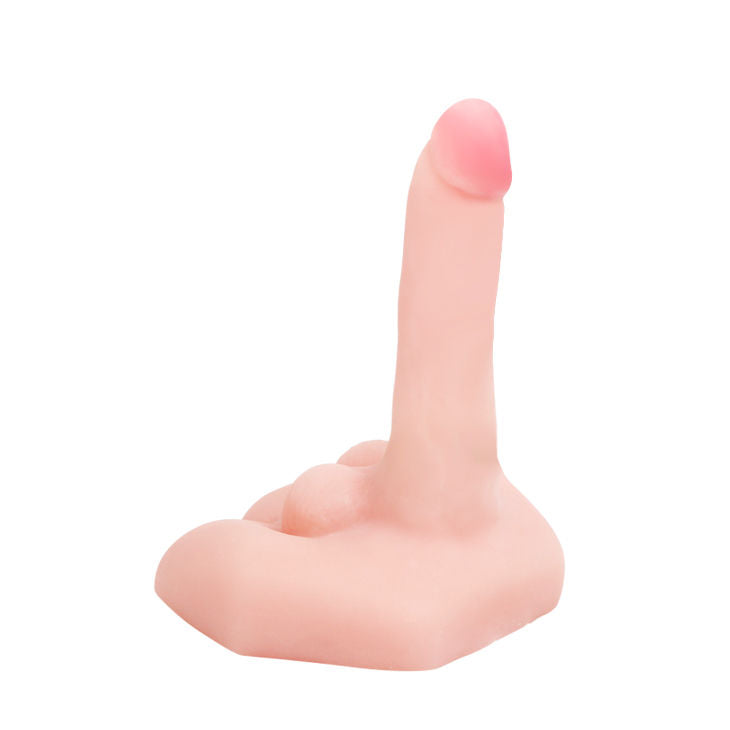 Mr Big Realistic Penis and Anus Masturbator