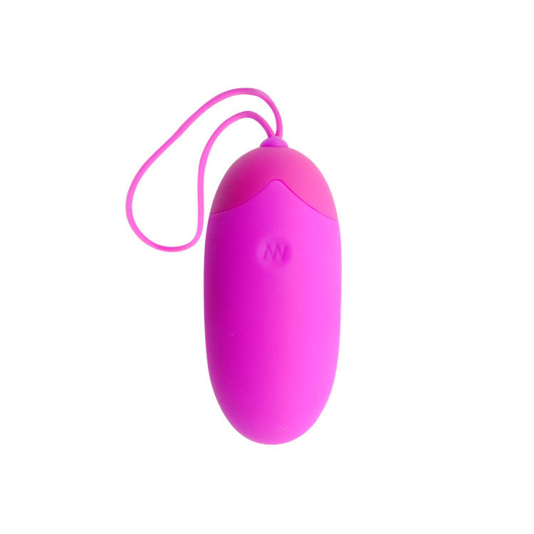 Egg berger remote control 12 v