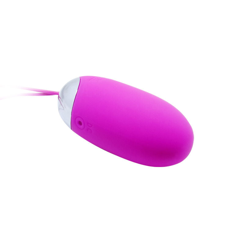 Egg berger remote control 12 v