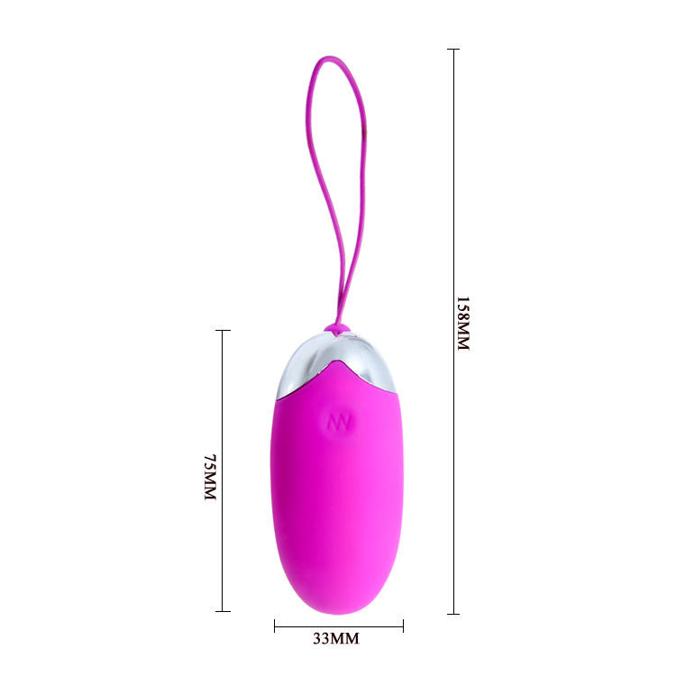 Egg berger remote control 12 v