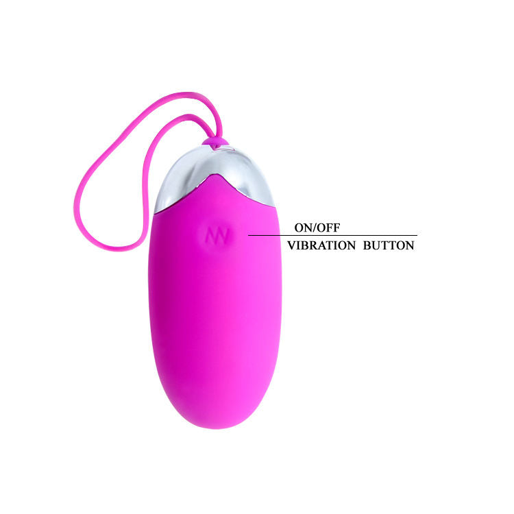 Egg berger remote control 12 v