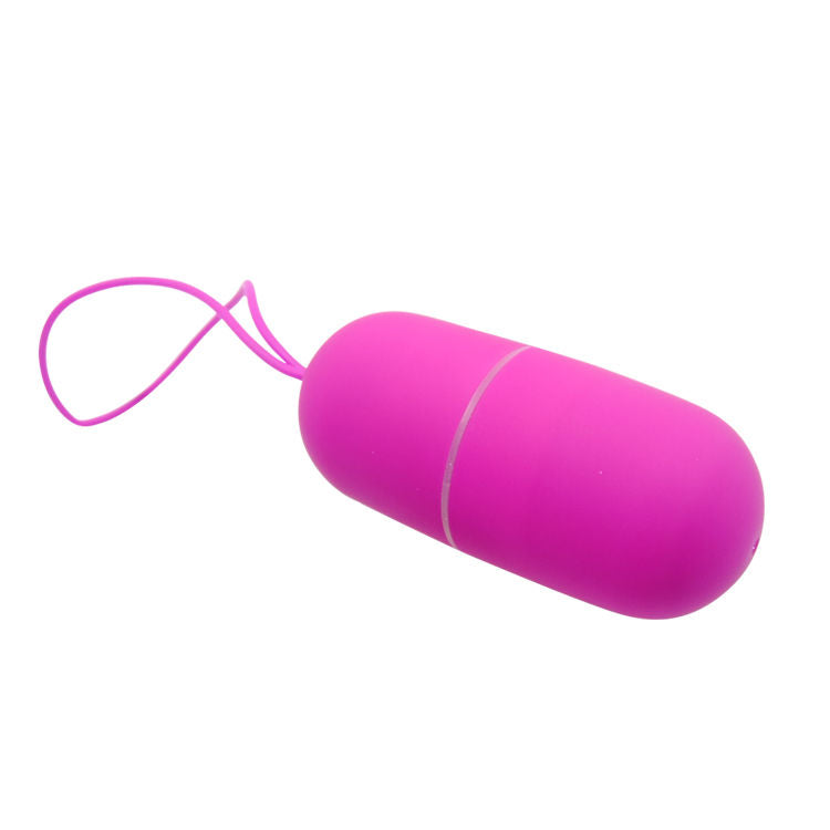 Arvin vibrating egg remote control 12v 