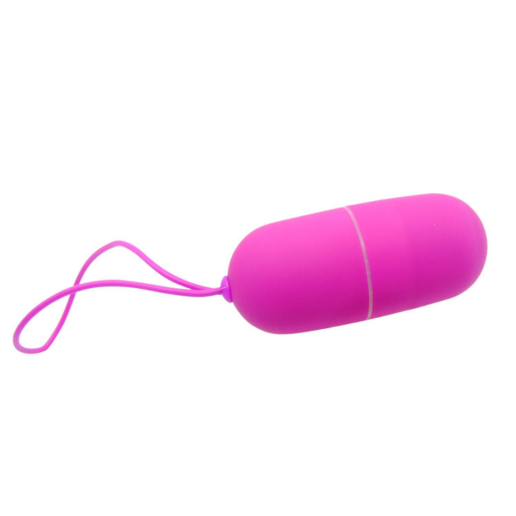 Arvin vibrating egg remote control 12v 