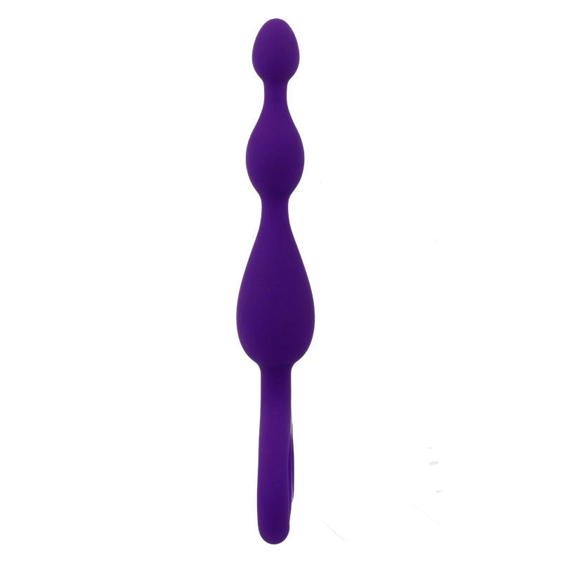 Lilac anal danti