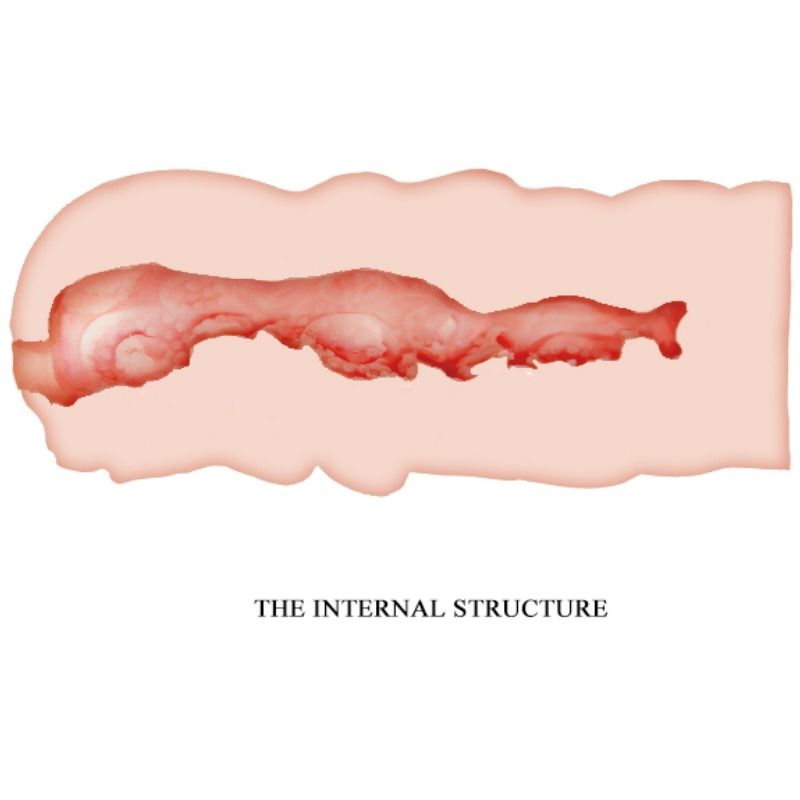 Isabel Vagina Masturbator 13.5 cm