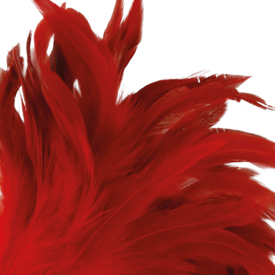 Red Stimulating Pen 24cm