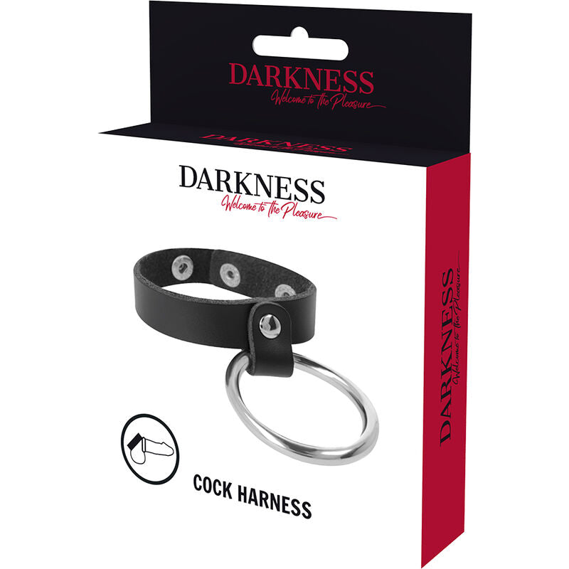 Metal ring for penis and testicles